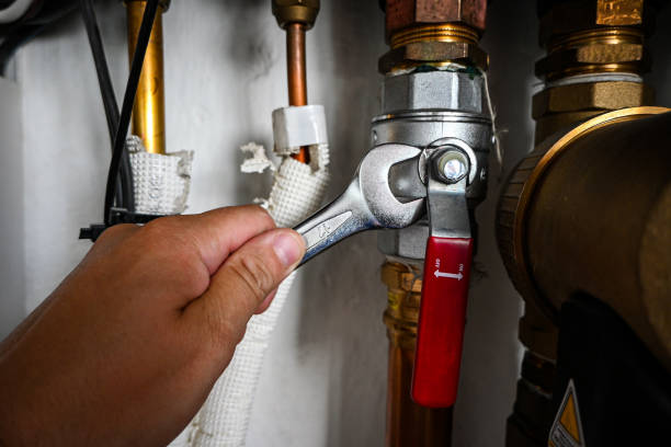 Best Plumbing Inspection Services  in Ventress, LA
